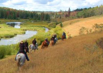 Chilcotin