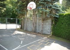 Basket ball and Horse shoes
