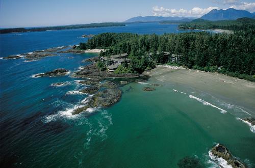 Tofino