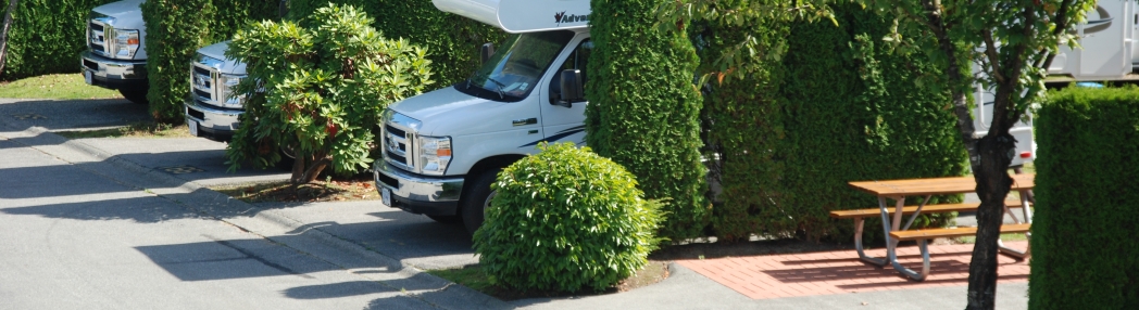 New, modern, clean with many features ...